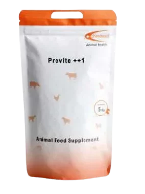 Previte ++1