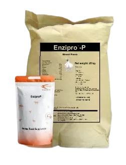 Enzipro-P