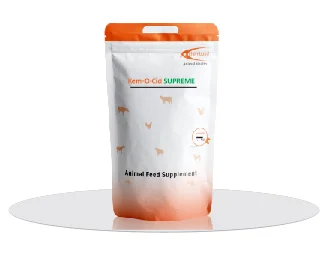 Lipibond