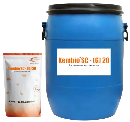 Kembio"SC - (G) 20 Saccharomyces cerevisiae (GRANULATED)