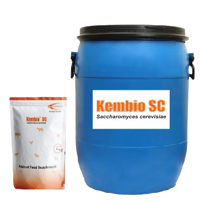 Kembio™ SC Saccharomyces cerevisiae (GRANULATED)